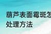 葫芦表面霉斑怎么处理 葫芦表面霉斑处理方法