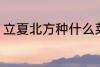 立夏北方种什么菜 立夏北方种哪些菜