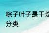 粽子叶子是干垃圾吗 粽子叶子的垃圾分类