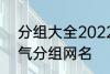 分组大全2022最新版的 高冷二字霸气分组网名