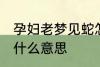 孕妇老梦见蛇怎么回事 孕妇梦见蛇是什么意思