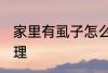 家里有虱子怎么办 家里有虱子如何处理