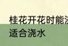 桂花开花时能浇水吗 桂花开花时适不适合浇水