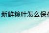 新鲜粽叶怎么保存 新鲜粽叶如何保存