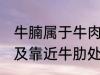 牛腩属于牛肉哪个部位 牛腩即牛腹部及靠近牛肋处的松软肌肉对吗