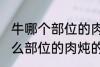 牛哪个部位的肉炖的牛肉汤好喝 牛什么部位的肉炖的牛肉汤好喝