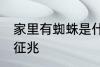 家里有蜘蛛是什么征兆 家里有蜘蛛的征兆