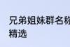 兄弟姐妹群名称大全 兄弟姐妹群名称精选