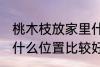 桃木枝放家里什么位置 桃木枝放家里什么位置比较好