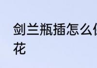 剑兰瓶插怎么保鲜 如何瓶插剑兰鲜切花