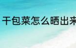 干包菜怎么晒出来 干包菜如何晒出来