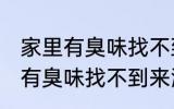 家里有臭味找不到来源怎么解决 屋里有臭味找不到来源怎么办