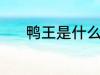 鸭王是什么意思 鸭王指的是啥