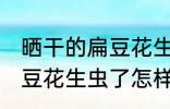晒干的扁豆花生虫了怎么办 晒干的扁豆花生虫了怎样做