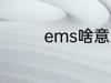 ems啥意思 ems怎么解释