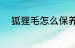 狐狸毛怎么保养 怎么保养狐狸毛