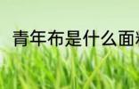 青年布是什么面料 青年布是啥面料