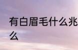 有白眉毛什么兆头 有白眉毛预兆着什么