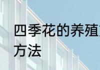 四季花的养殖方法扦插 扦插四季花的方法