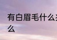 有白眉毛什么兆头 有白眉毛预兆着什么