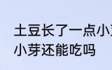 土豆长了一点小芽可以吃吗 土豆长了小芽还能吃吗