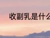 收副乳是什么意思 收副乳的含义