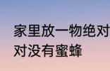 家里放一物绝对没蜜蜂 家里放一物绝对没有蜜蜂