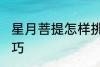 星月菩提怎样挑好坏 挑选星月菩提技巧