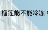 榴莲能不能冷冻 榴莲可以冷冻保存吗