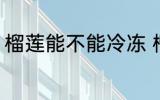 榴莲能不能冷冻 榴莲可以冷冻保存吗