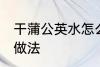干蒲公英水怎么煮 干蒲公英煮水简单做法
