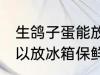 生鸽子蛋能放冰箱保鲜吗 生鸽子蛋可以放冰箱保鲜吗