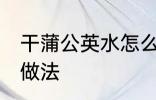 干蒲公英水怎么煮 干蒲公英煮水简单做法