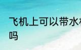 飞机上可以带水杯吗 飞机上能带水杯吗