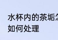 水杯内的茶垢怎么处理 水杯内的茶垢如何处理