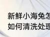 新鲜小海兔怎么清洗处理 新鲜小海兔如何清洗处理