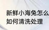 新鲜小海兔怎么清洗处理 新鲜小海兔如何清洗处理