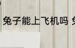 兔子能上飞机吗 兔子可以带上飞机吗