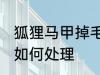 狐狸马甲掉毛怎么处理 狐狸马甲掉毛如何处理