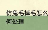仿兔毛掉毛怎么处理 兔毛衣服掉毛如何处理