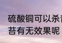 硫酸铜可以杀青苔吗 硫酸铜对于杀青苔有无效果呢
