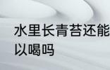 水里长青苔还能喝吗 水里长青苔还可以喝吗