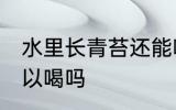 水里长青苔还能喝吗 水里长青苔还可以喝吗