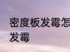 密度板发霉怎么处理 如何防止密度板发霉