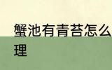 蟹池有青苔怎么办 蟹池有青苔怎么处理
