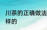 川茶的正确做法 川茶的正确做法是怎样的