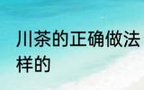 川茶的正确做法 川茶的正确做法是怎样的