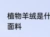 植物羊绒是什么面料 植物羊绒是哪种面料