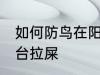 如何防鸟在阳台拉屎 如何阻止鸟在阳台拉屎