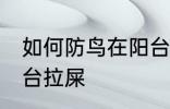 如何防鸟在阳台拉屎 如何阻止鸟在阳台拉屎